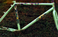 handpainted rainforest art bike